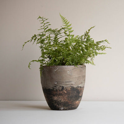 Gray Terracotta Garden Planter Pot - Mulberry Market Designs