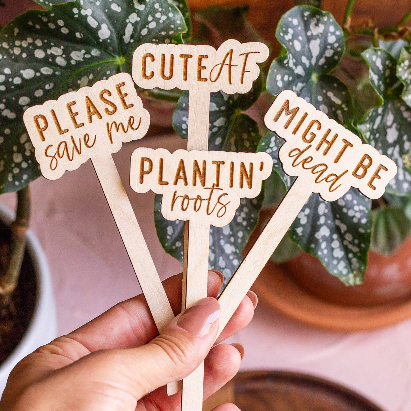 Funny Wooden Plant Markers - Mulberry Market Designs