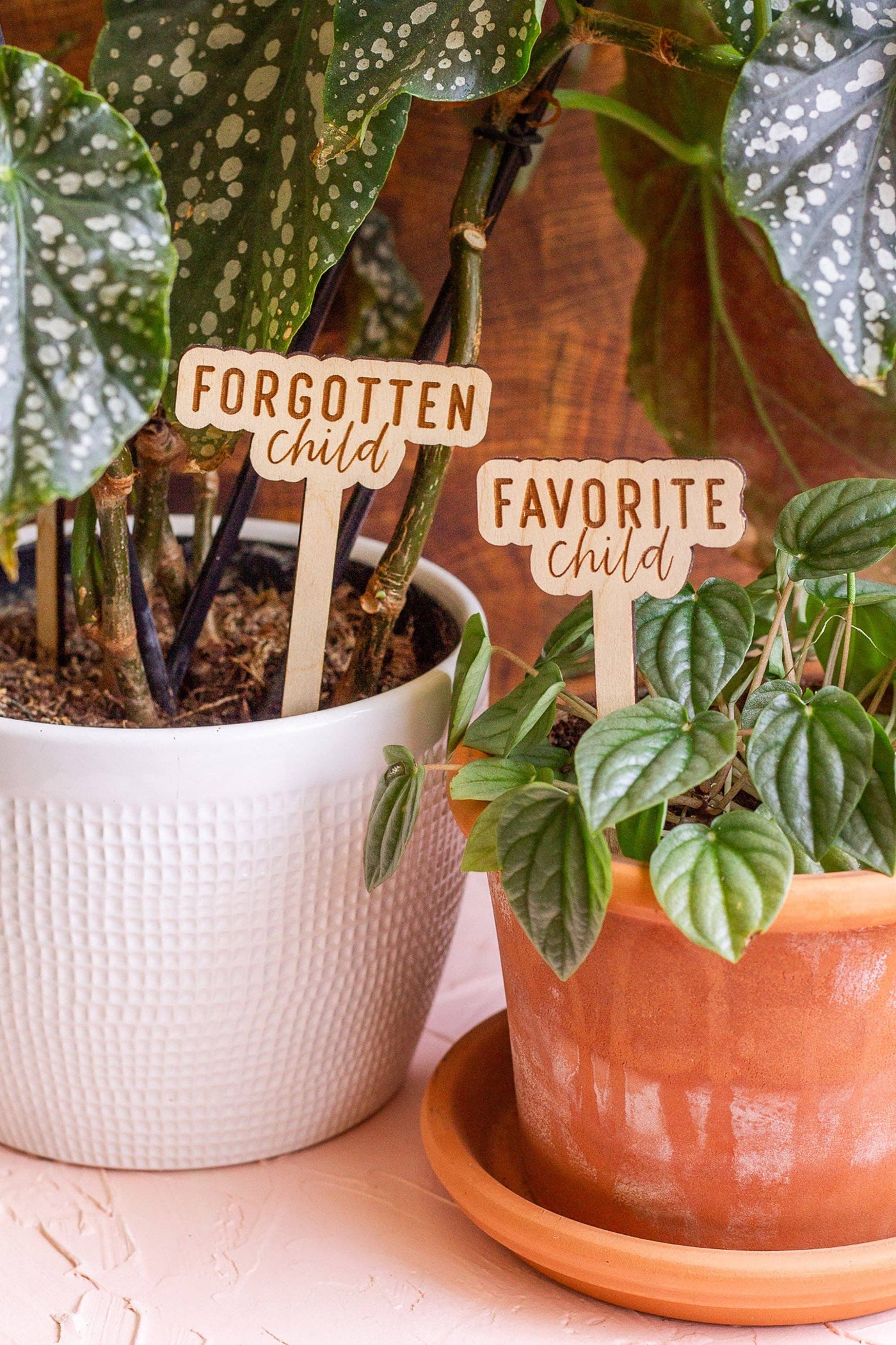 Funny Wooden Plant Markers - Mulberry Market Designs