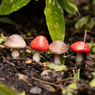 Mini Mushroom Plant Pot Pals - Mulberry Market Designs