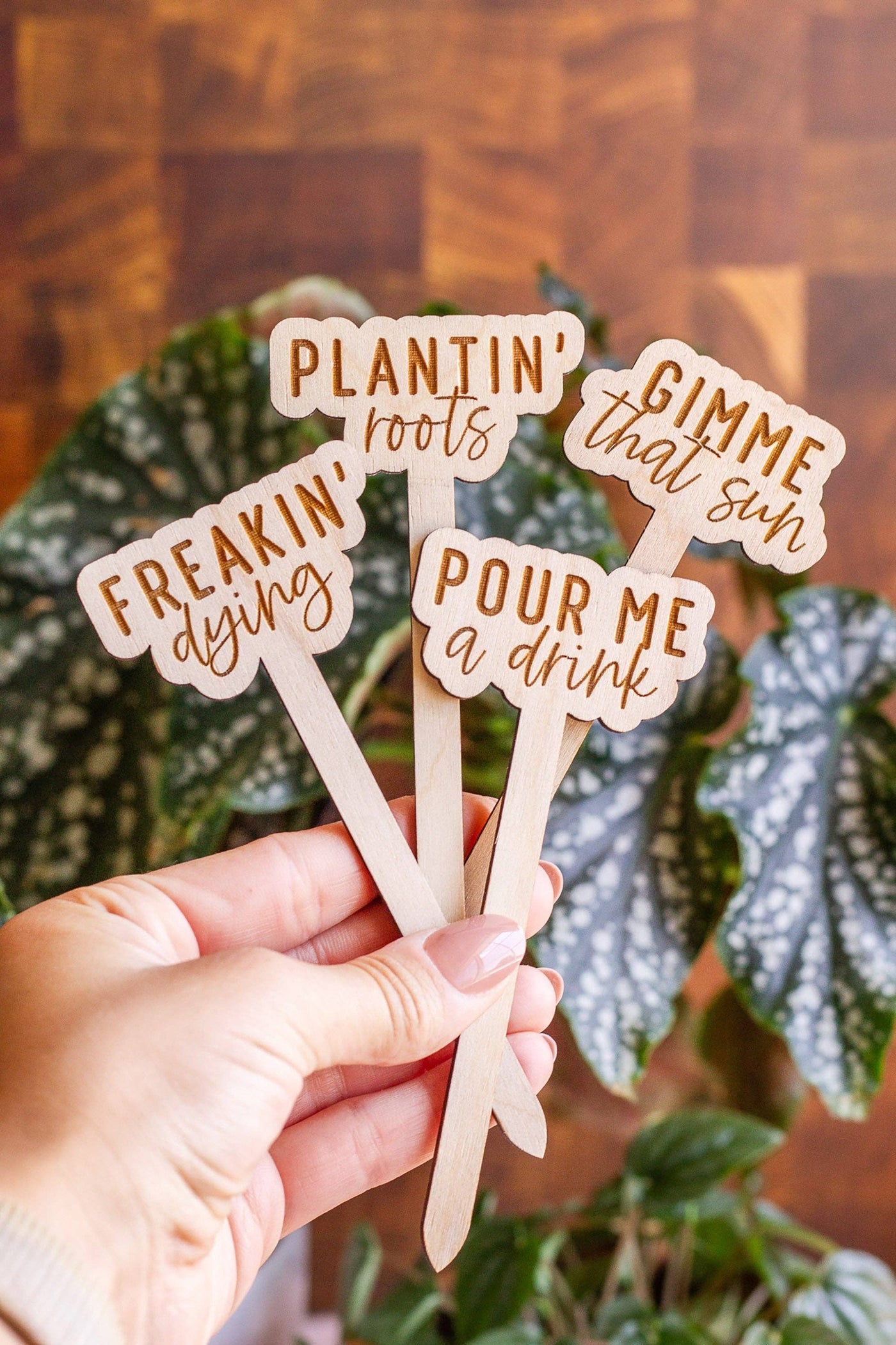 Funny Wooden Plant Markers - Mulberry Market Designs