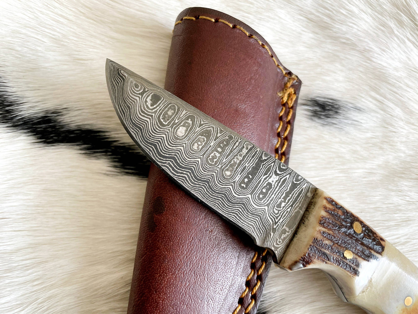 Damascus Steel Burnt bone & Walnut Hunting Knife - Mulberry Market Designs