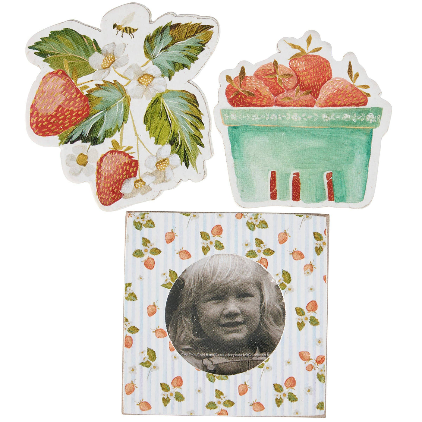 Strawberry Photo Fridge Magnet Set