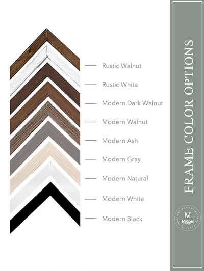 The Color Wheel Wall Art - Mulberry Market Designs