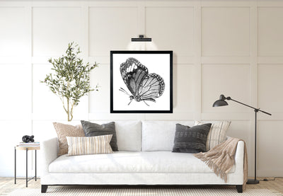 Butterfly Sketch Wall Art