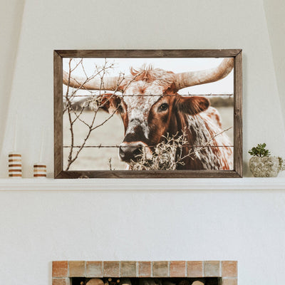 Longhorn Framed Art Print - Mulberry Market Designs