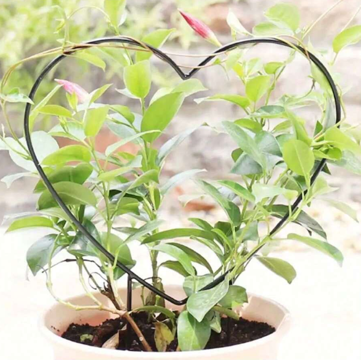 Heart Indoor Plant Trellis - Mulberry Market Designs