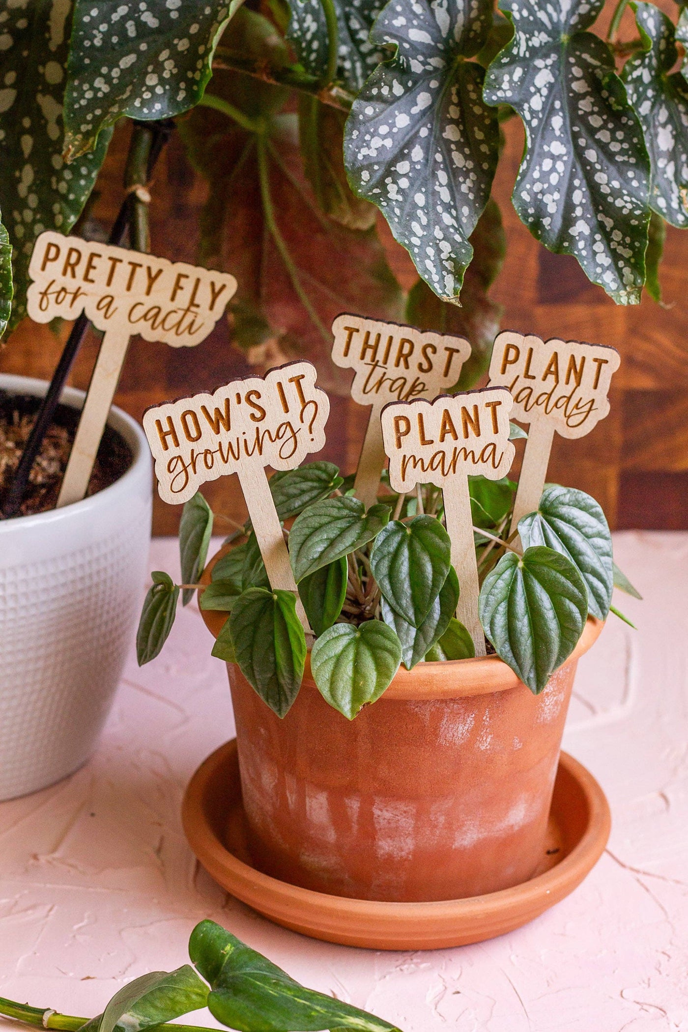 Funny Wooden Plant Markers - Mulberry Market Designs