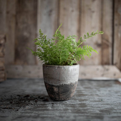 Gray Terracotta Garden Planter Pot - Mulberry Market Designs