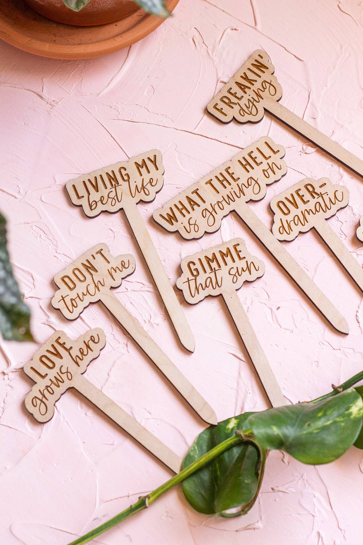 Funny Wooden Plant Markers - Mulberry Market Designs