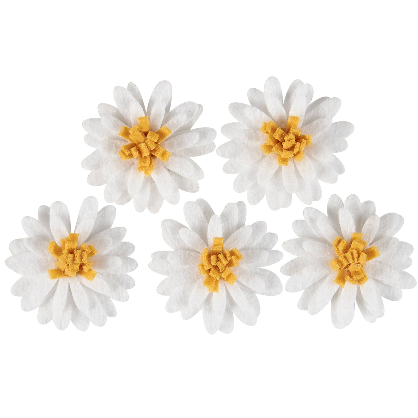 Daisy Magnet Set