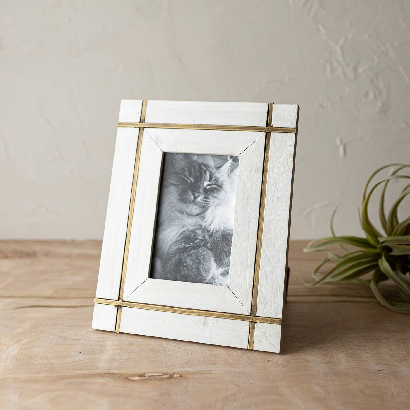 Brass Bordered 4x6 Picture Frame - Mulberry Market Designs